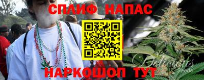 тгк Новозыбков