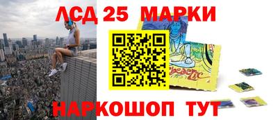 тгк Новодвинск
