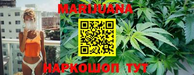тгк Новодвинск