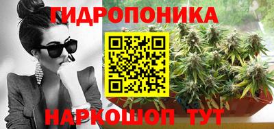 тгк Новозыбков
