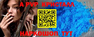 тгк Новодвинск